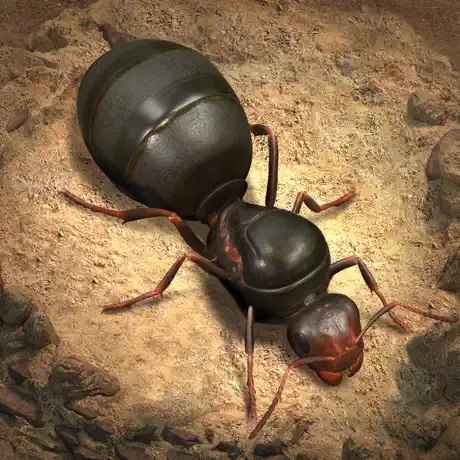 The Ants: Underground Kingdom - The Ants Underground Kingdom apk free download